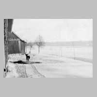 074-0040 Im Winter 1938-39 kommen die Hirsche bis zum Gut Jodeiken bei der Futtersuche.jpg